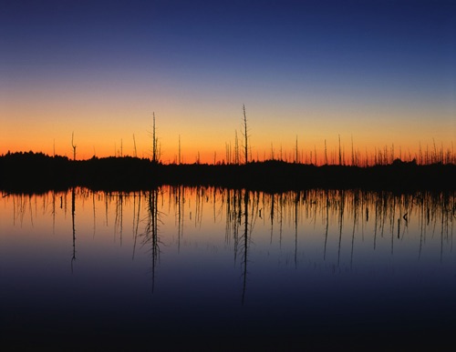 Sunset 1 Stafford Forge, Pine Barrens (MF).jpg